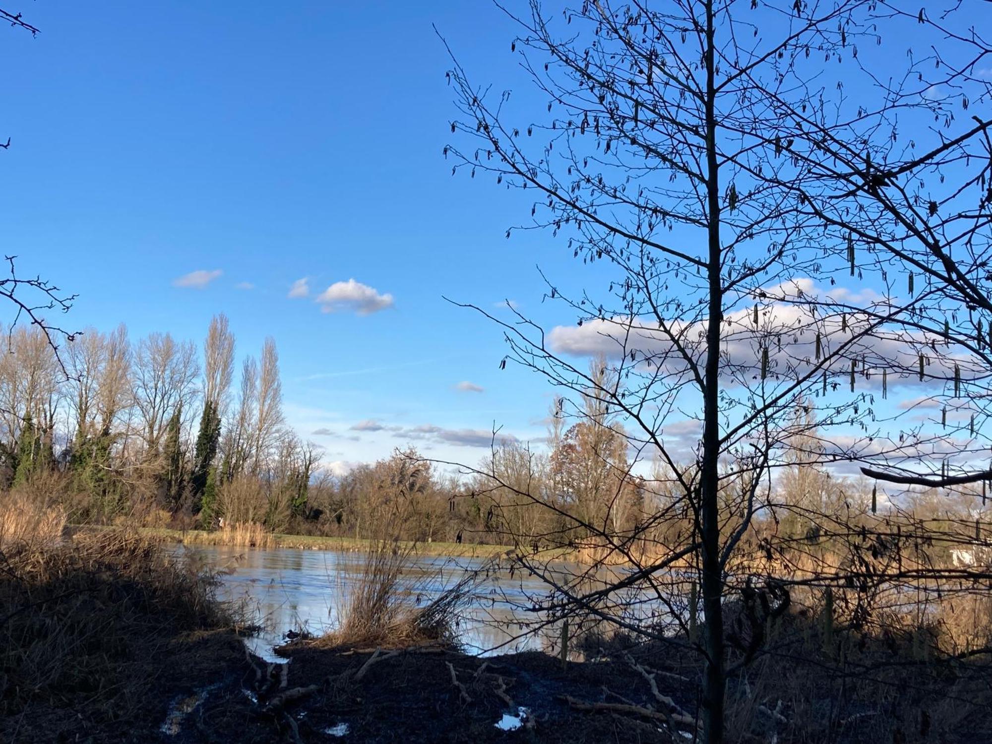 Au Calme Dans Maison En Rez De Jardin A 2,2 Kms Du Groupama Stadium Et Salle Ldlc Arena Мезье Экстерьер фото
